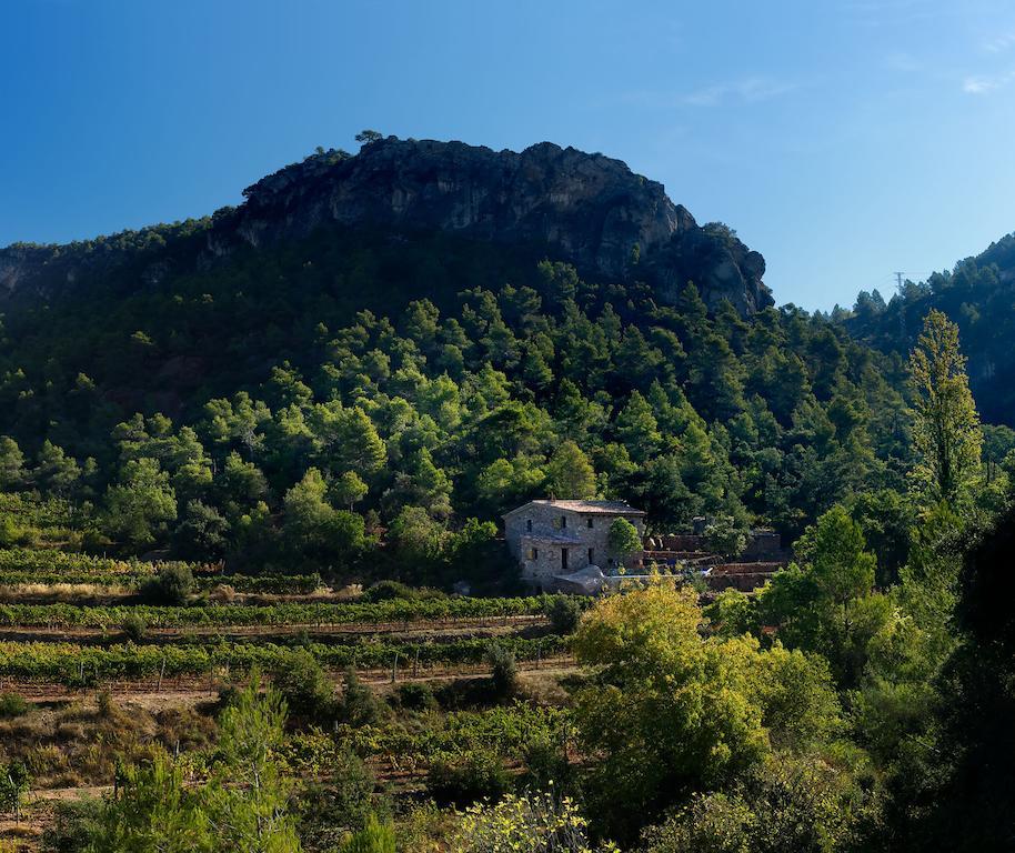 Holiday home Les Quimeres Falset